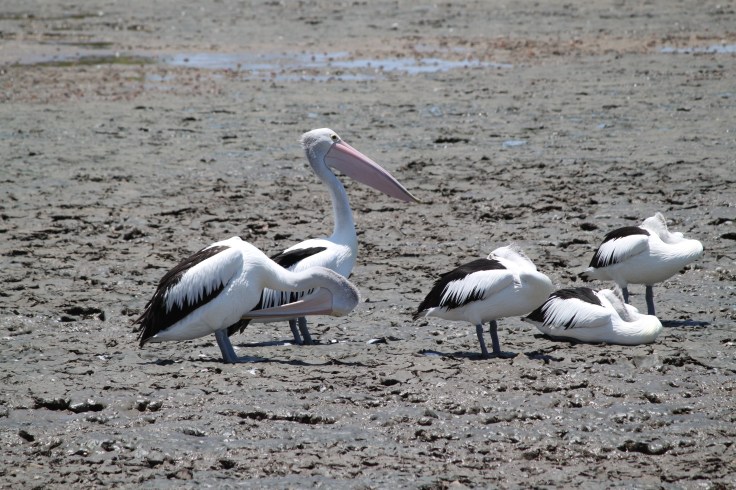 04A576E1-9DF4-4323-8733-C1005E7500F6