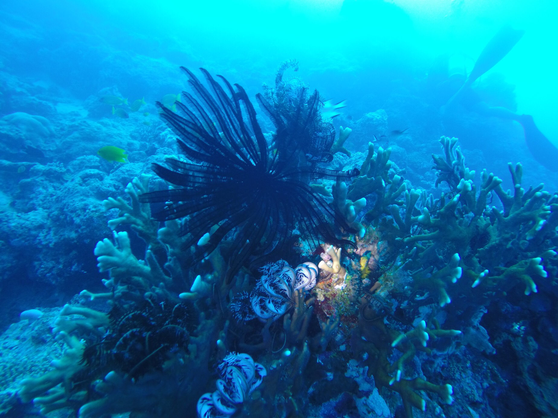 0CCCFC33-8B3A-44DF-AA2A-BC4F3B4EE40D