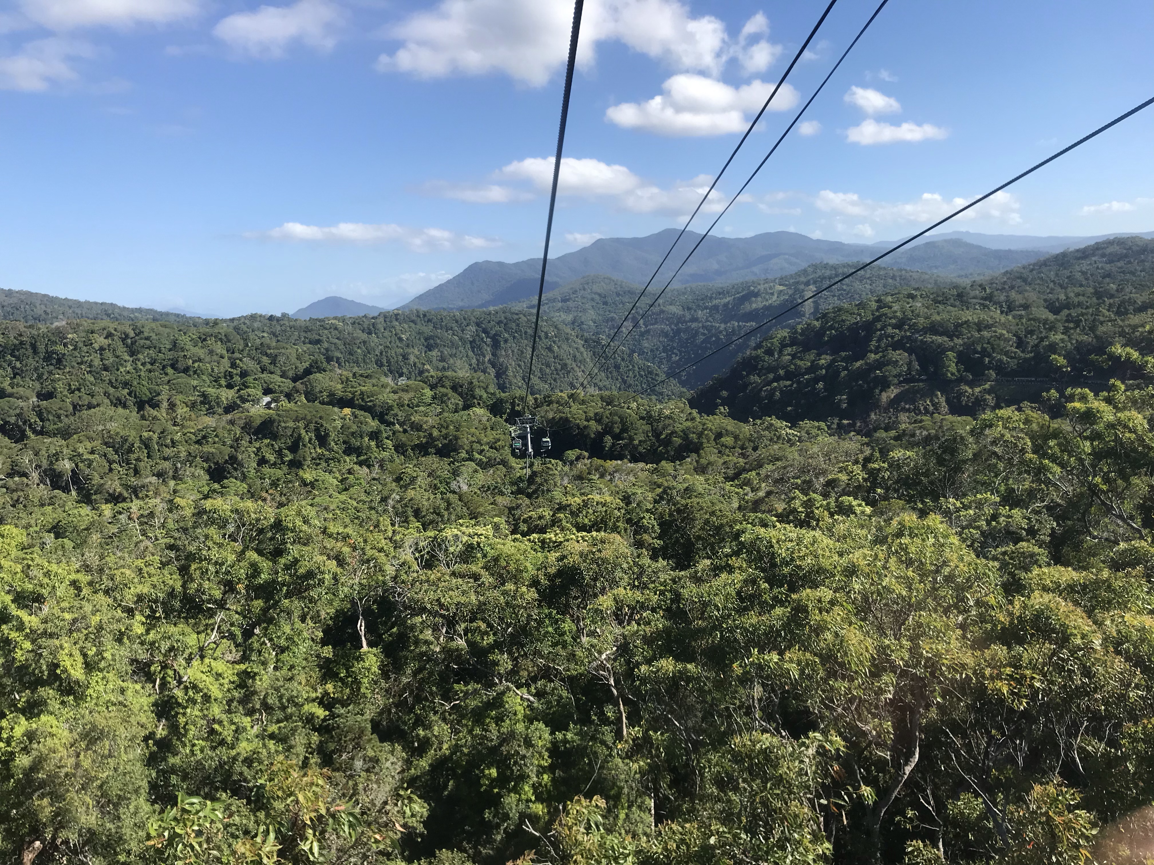 1A80A2D3-4744-4EC0-B94B-300AA632C0AF