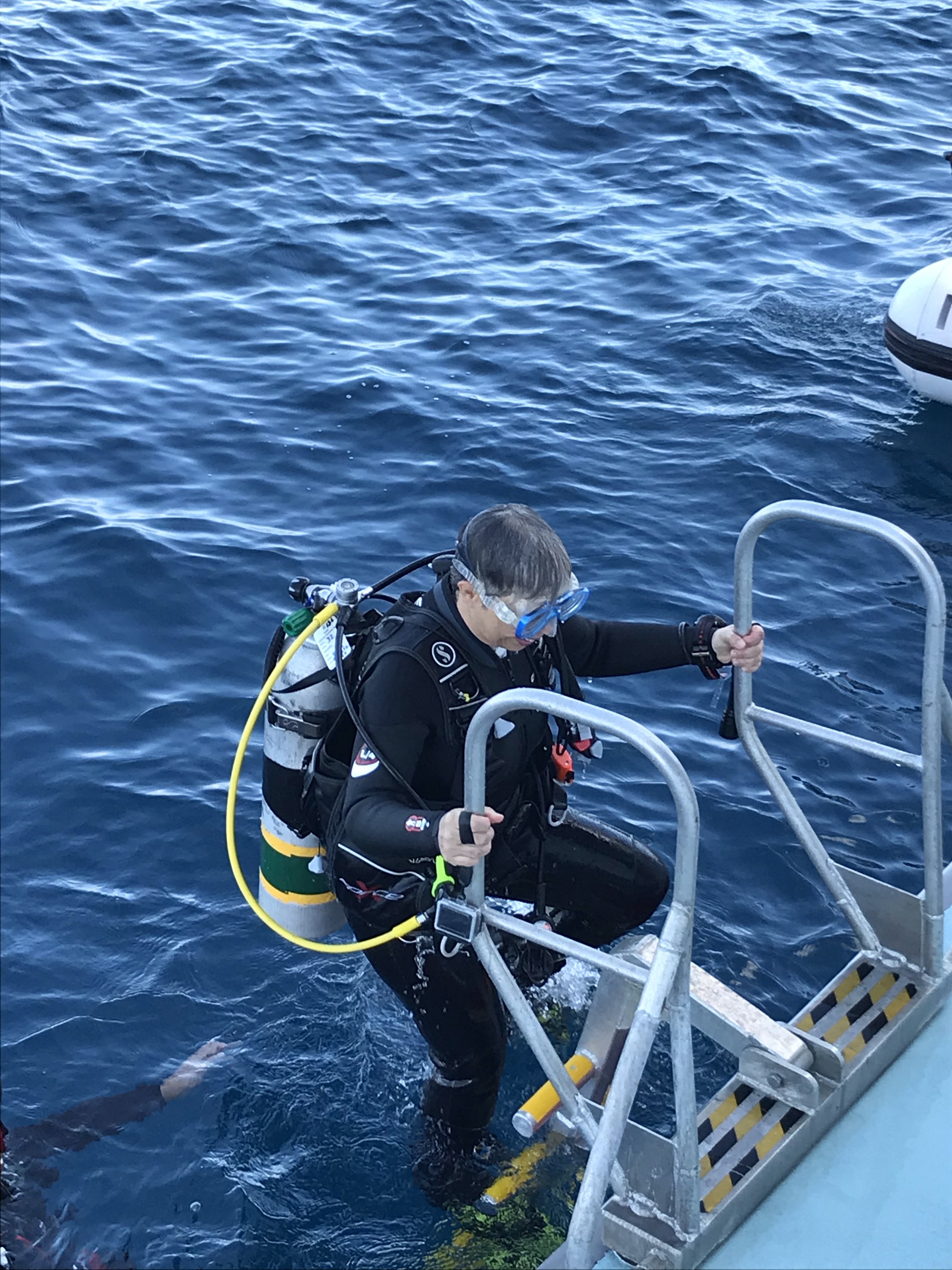 493E1DF1-3971-4E5F-A505-04DAB84BEAD3