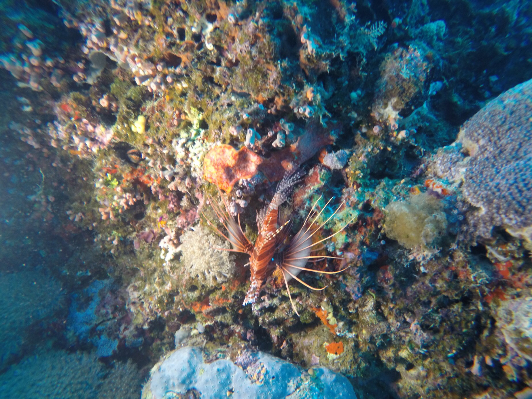 8D0B02A7-D9E3-4237-ABF4-2DBFC8AABAEF