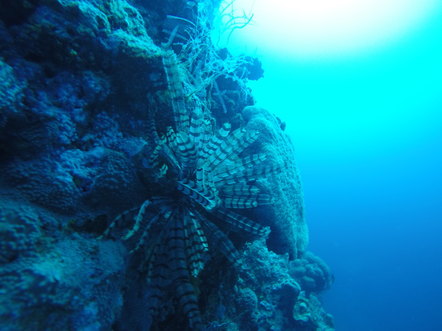 9DECF1C6-5361-43D3-9651-0506074F484F