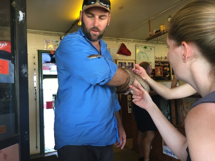 9FAFCB35-8D32-4152-8E91-5F225824E5CA