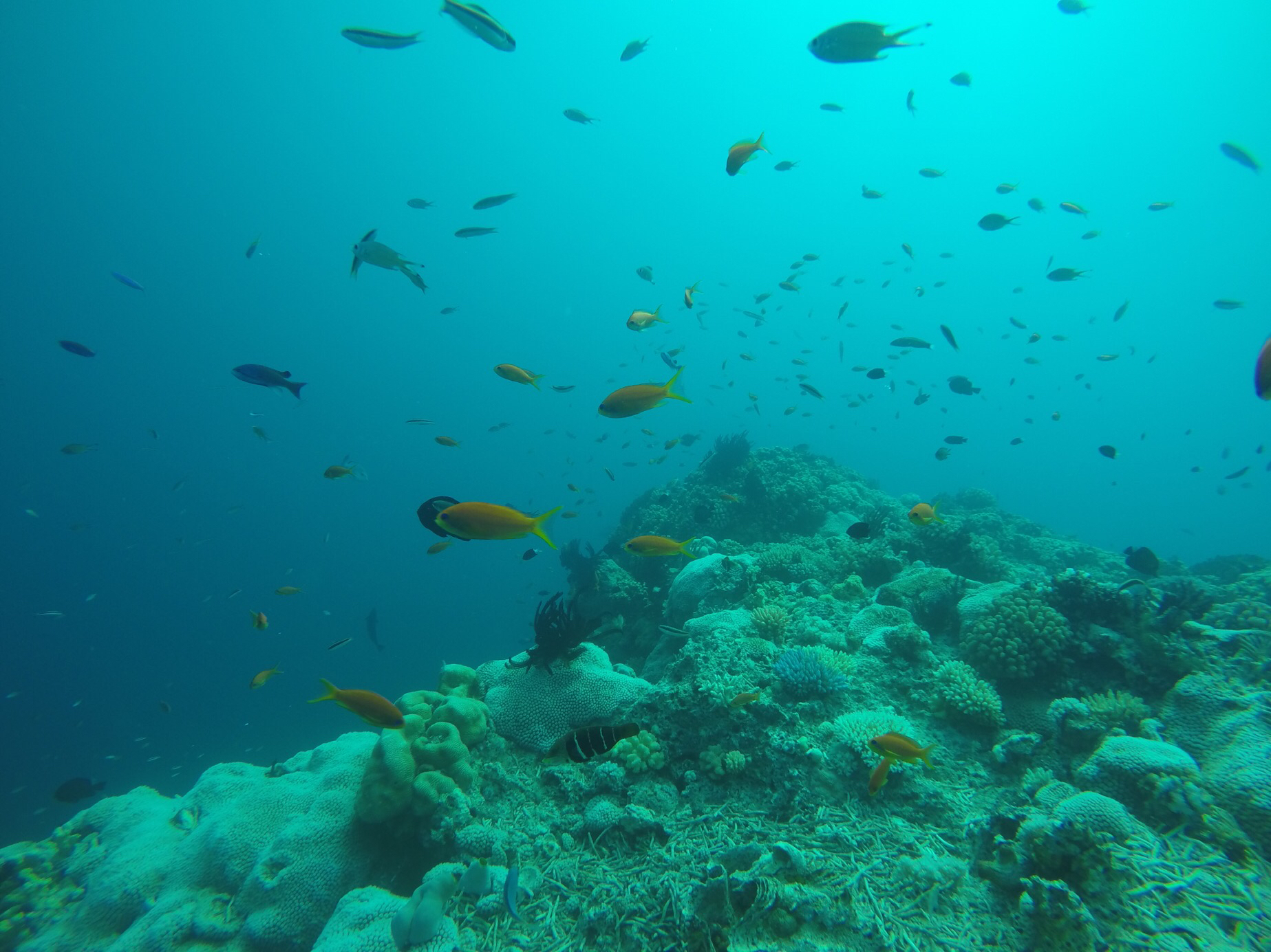 A1991CC8-5B71-45A9-A3AD-9DA58B731719