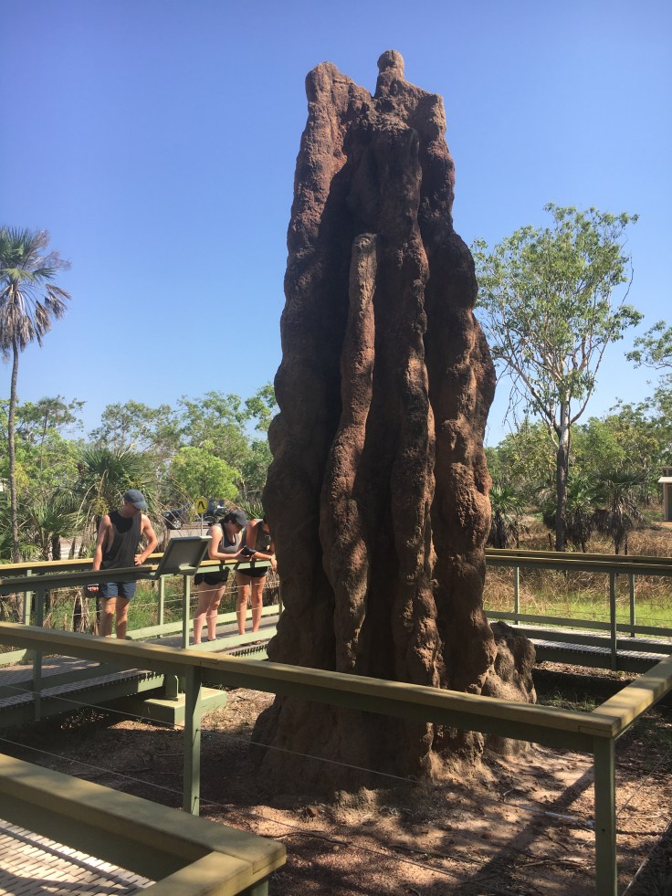 A2297417-7974-484D-B61C-6AA89F89C4C8