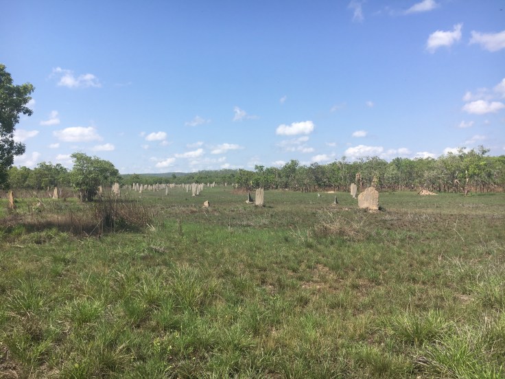 A8CE943F-B9E8-47D3-BDFE-BDBA3CA5F79A