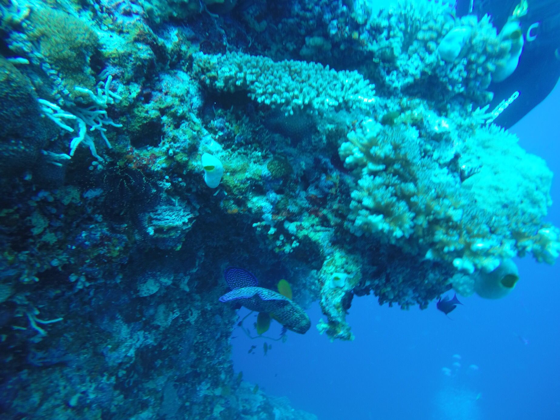 B7B8F011-081C-4C07-9EA8-8BC13B0298C8