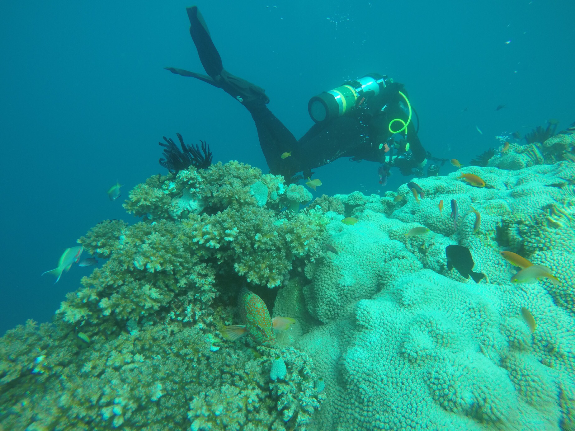 B93D3886-187F-46BA-B88F-91A273280C24