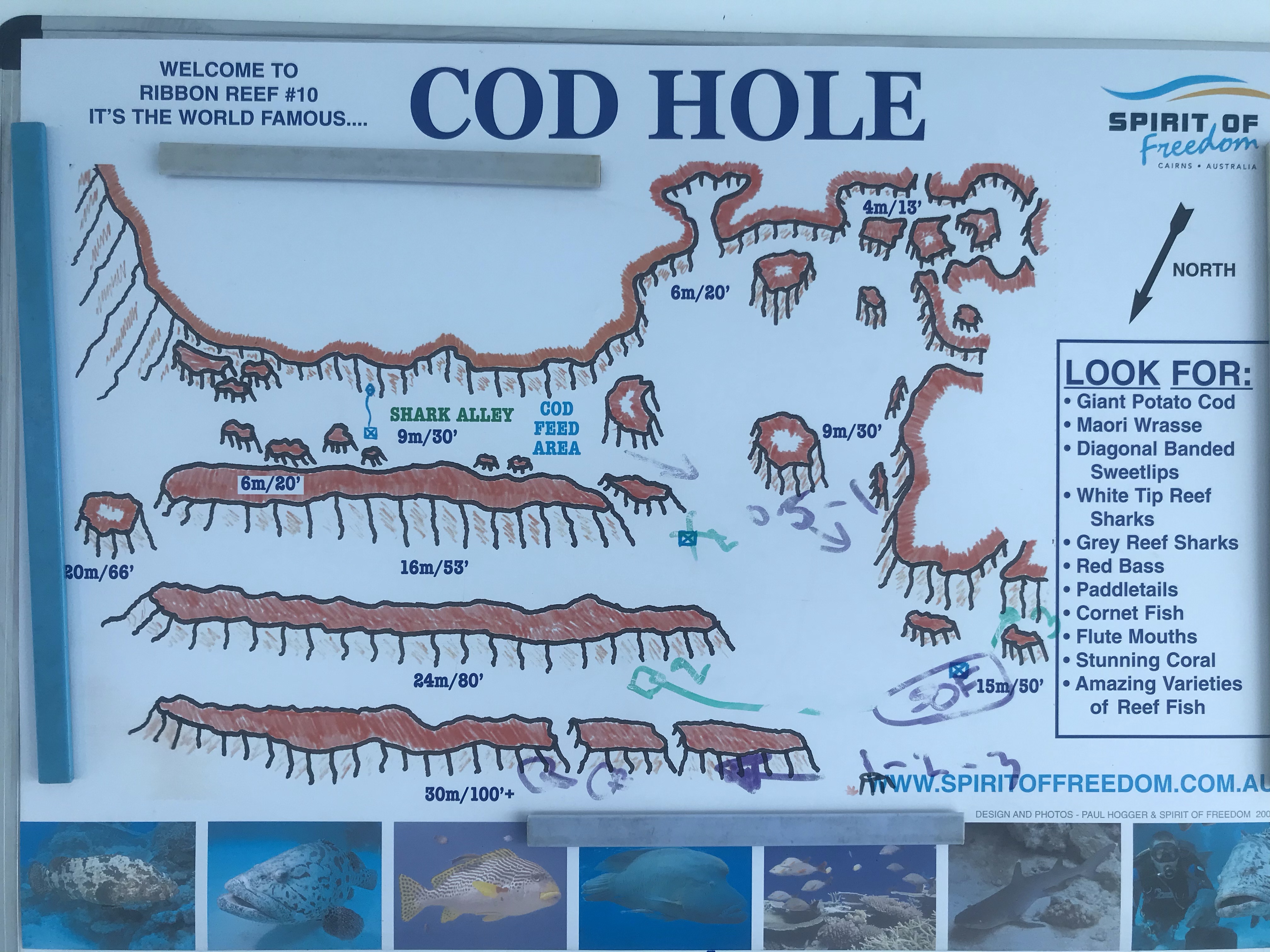 BF856DFE-939F-4505-A90D-356A2358CC83