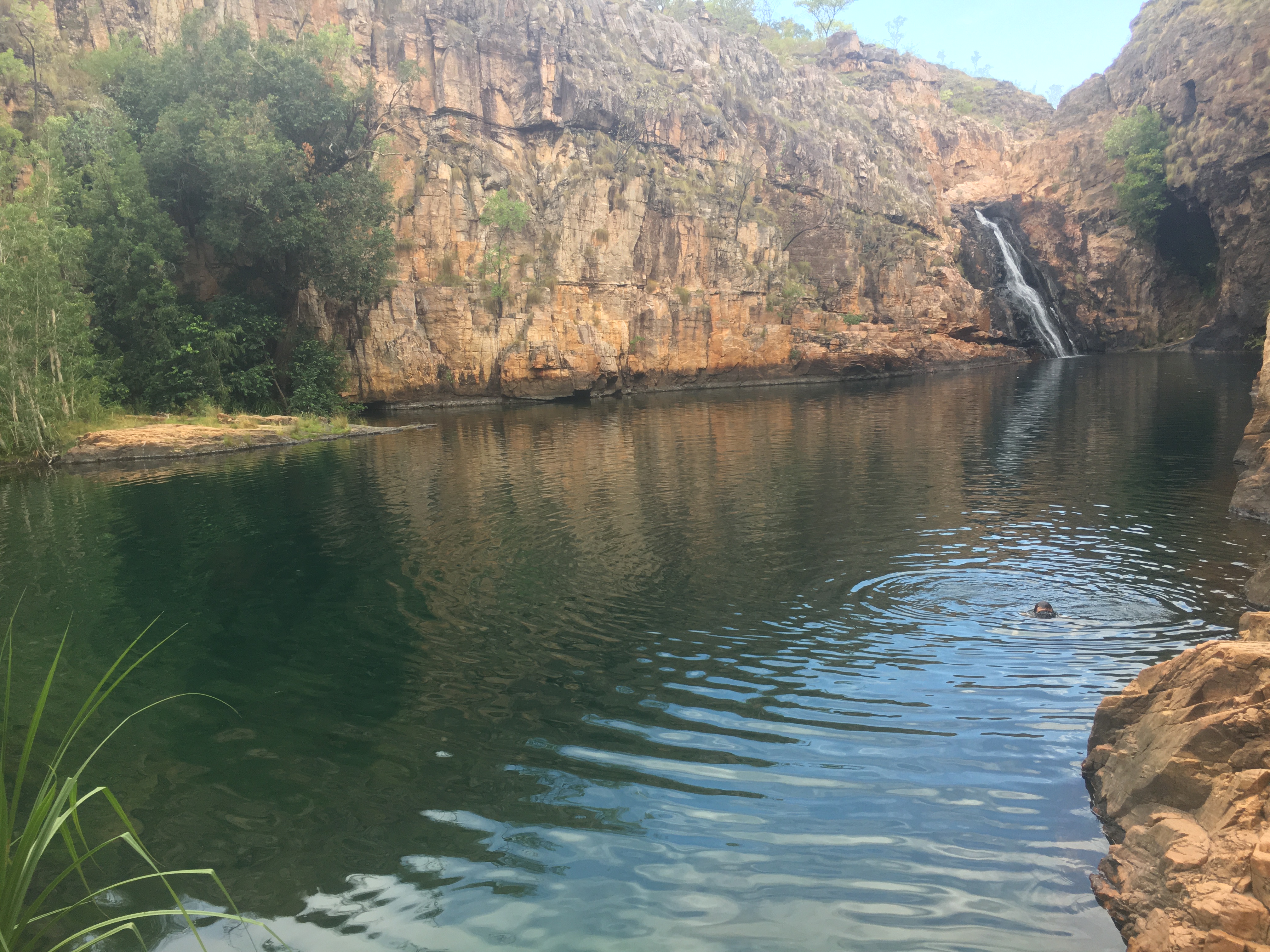 D9BCBA7B-F40F-4A00-A65F-BCEE8BE9AE3C