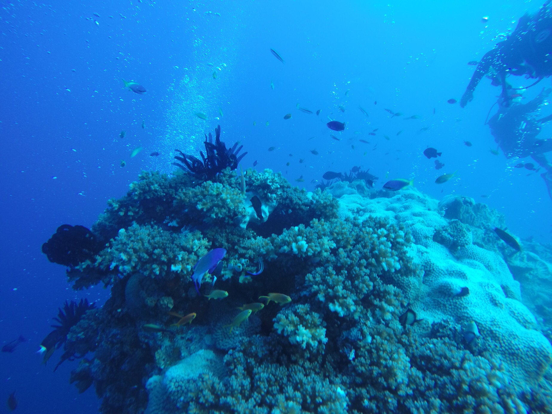 E754DFFA-807C-452E-94E3-8B8EBB5CA01D