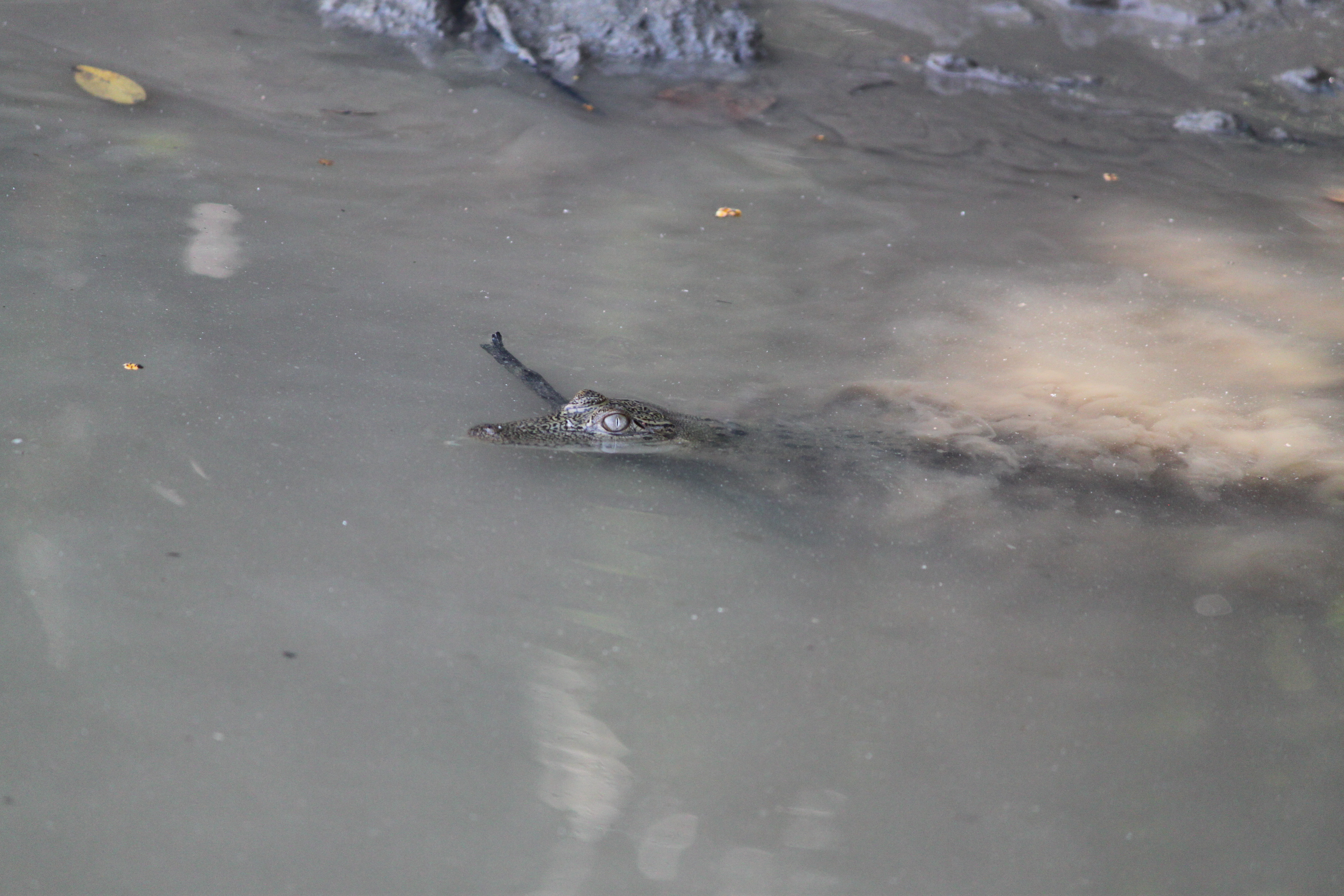 FE0F0618-E9B0-4513-99C5-3BBD69CAB0FA