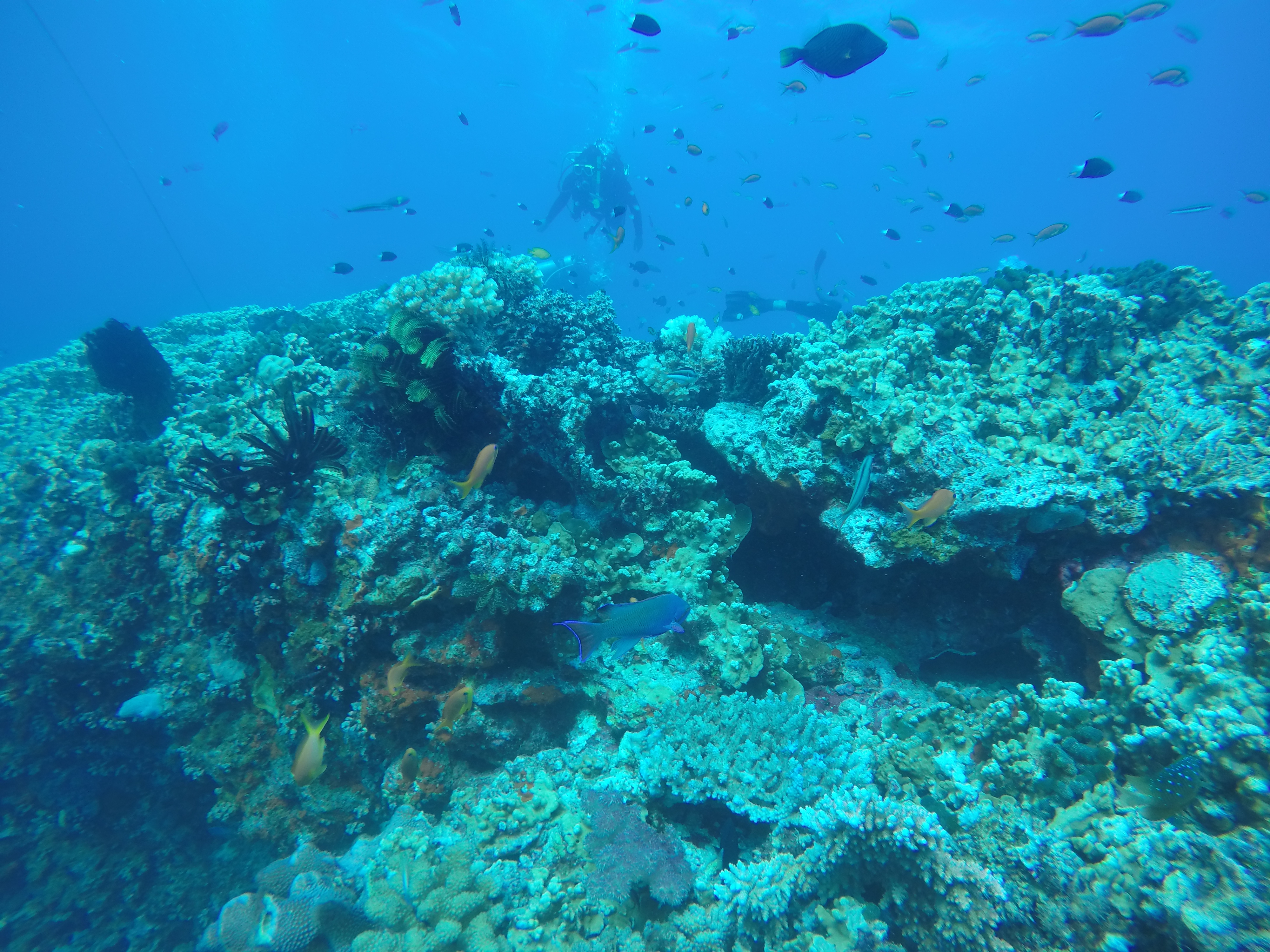 DCIM100GOPROGOPR0274.