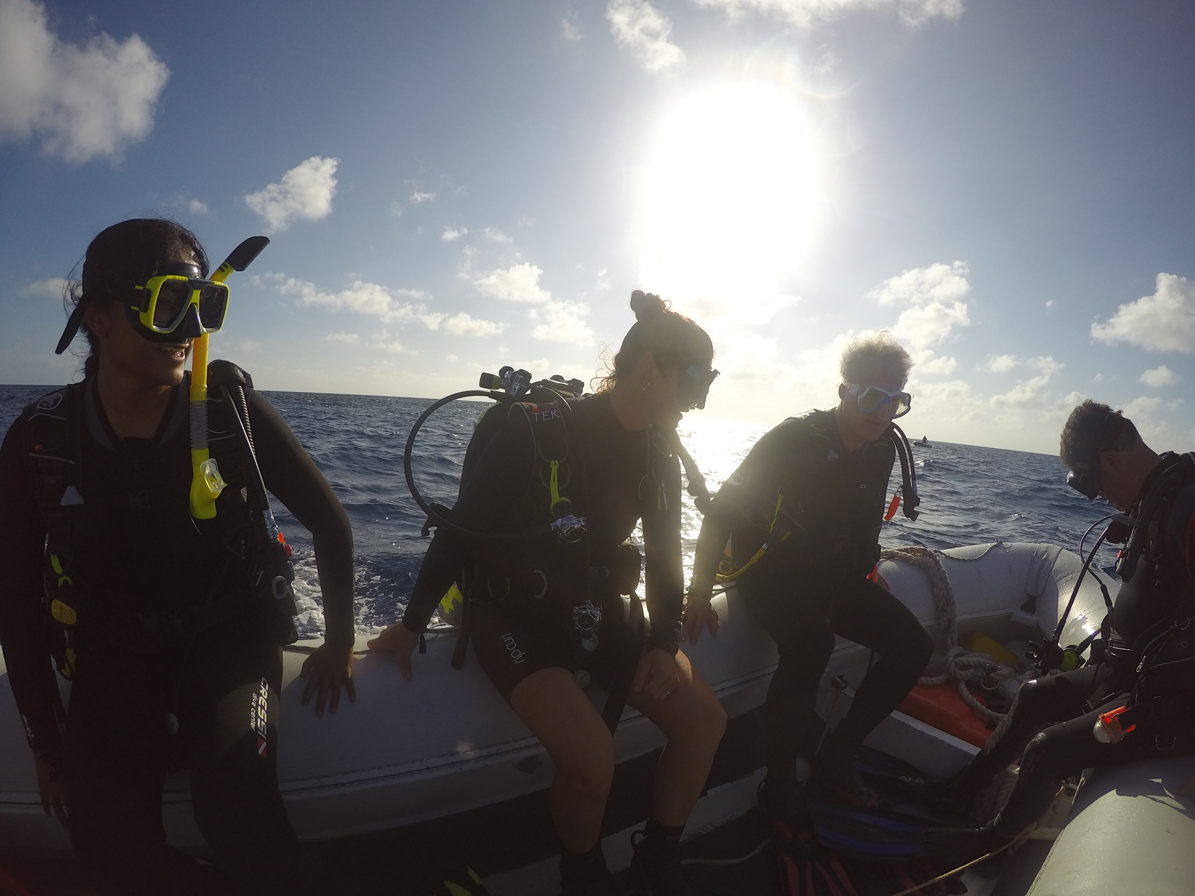 DCIM100GOPROGOPR0393.