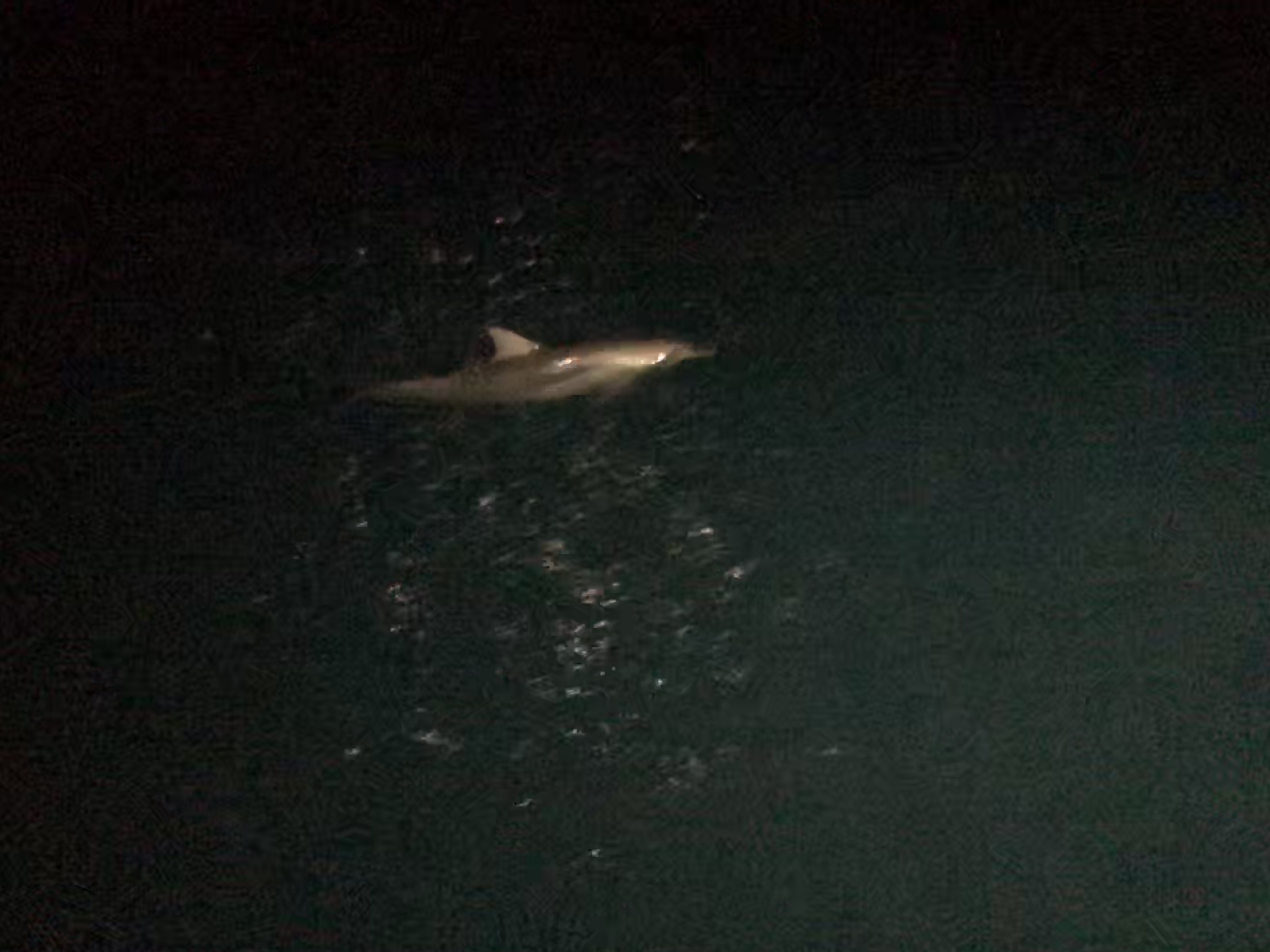 007EDB8E-CC0D-47DE-8ED1-8581E53BEBA0