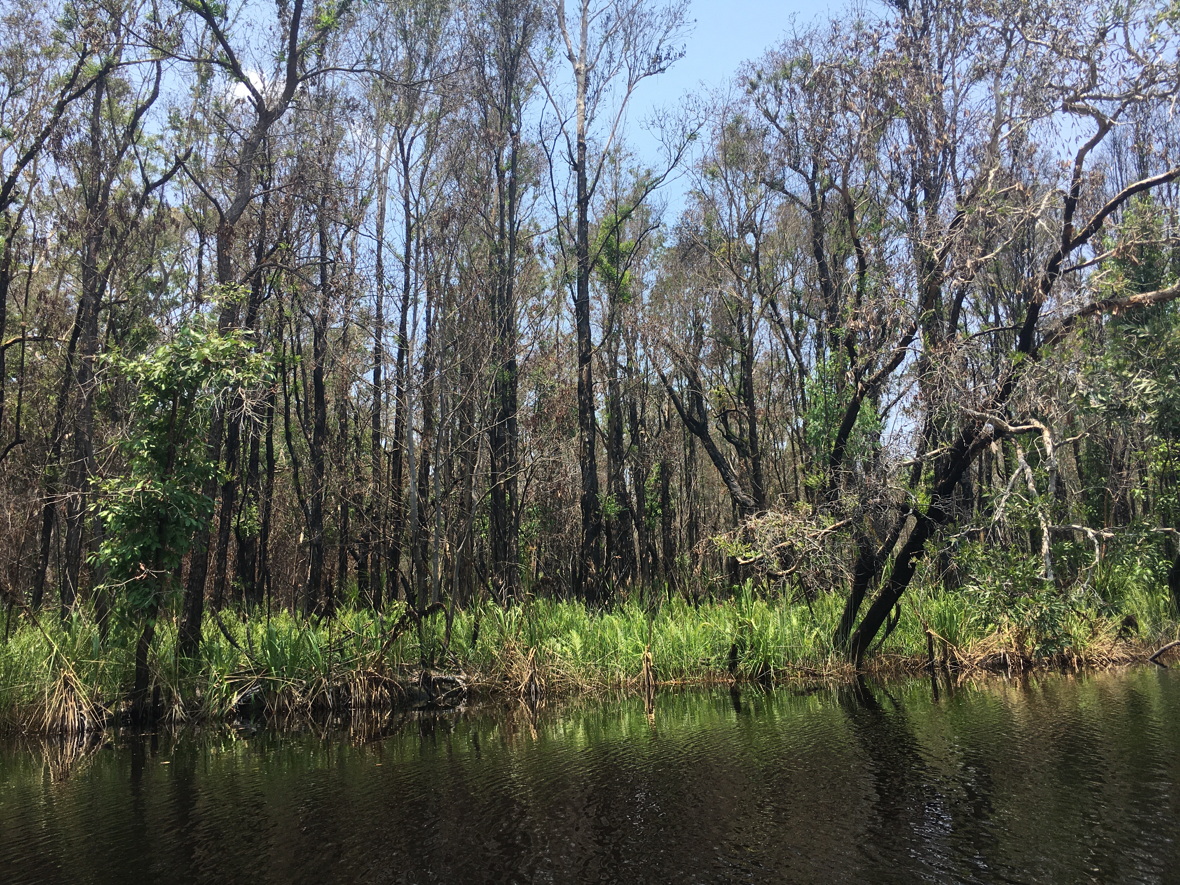 01D32CDE-B4DF-4F0E-B0FD-A89C112BAC67