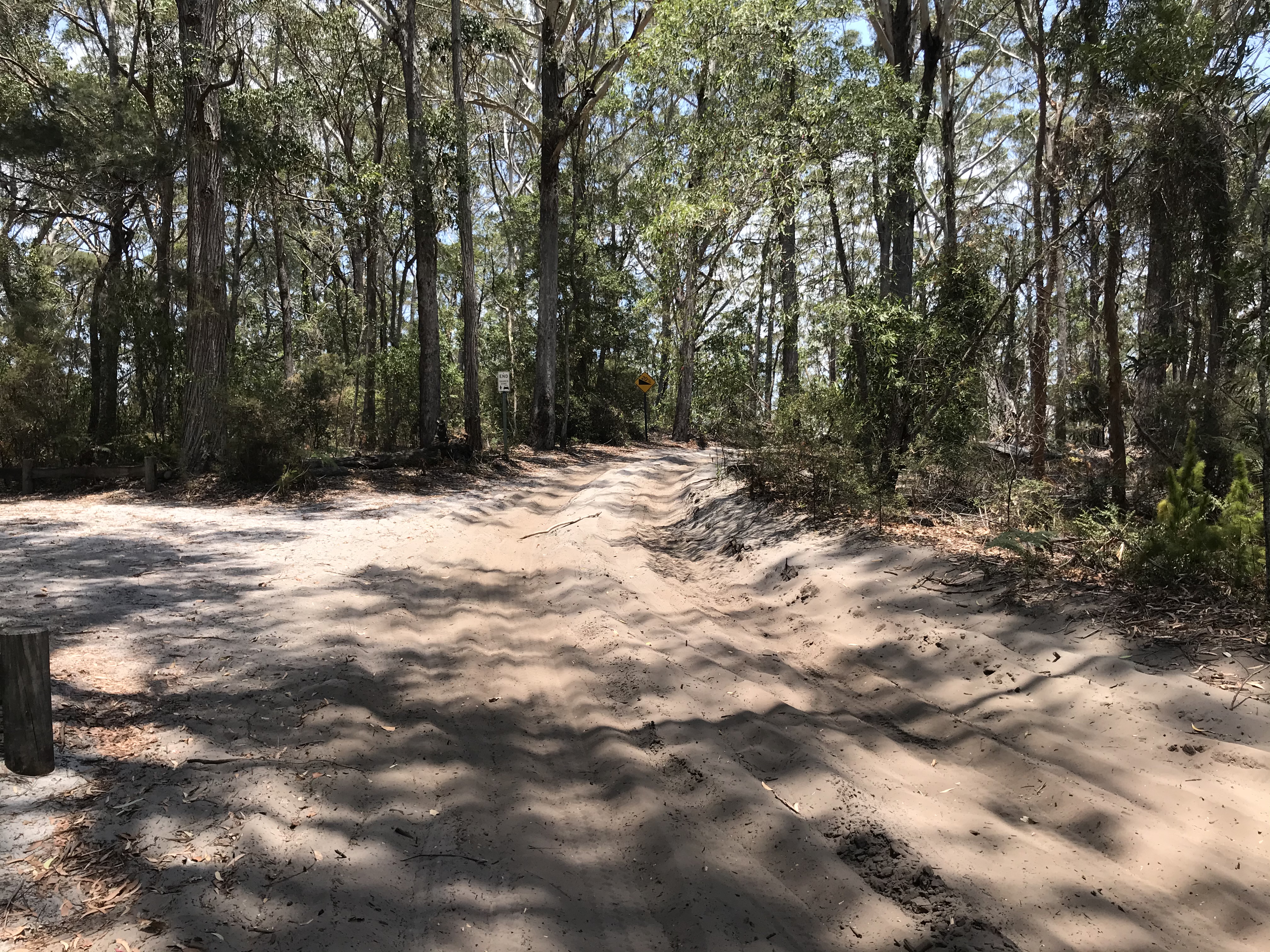 124D22D3-38CA-4E91-914D-246A974725B5