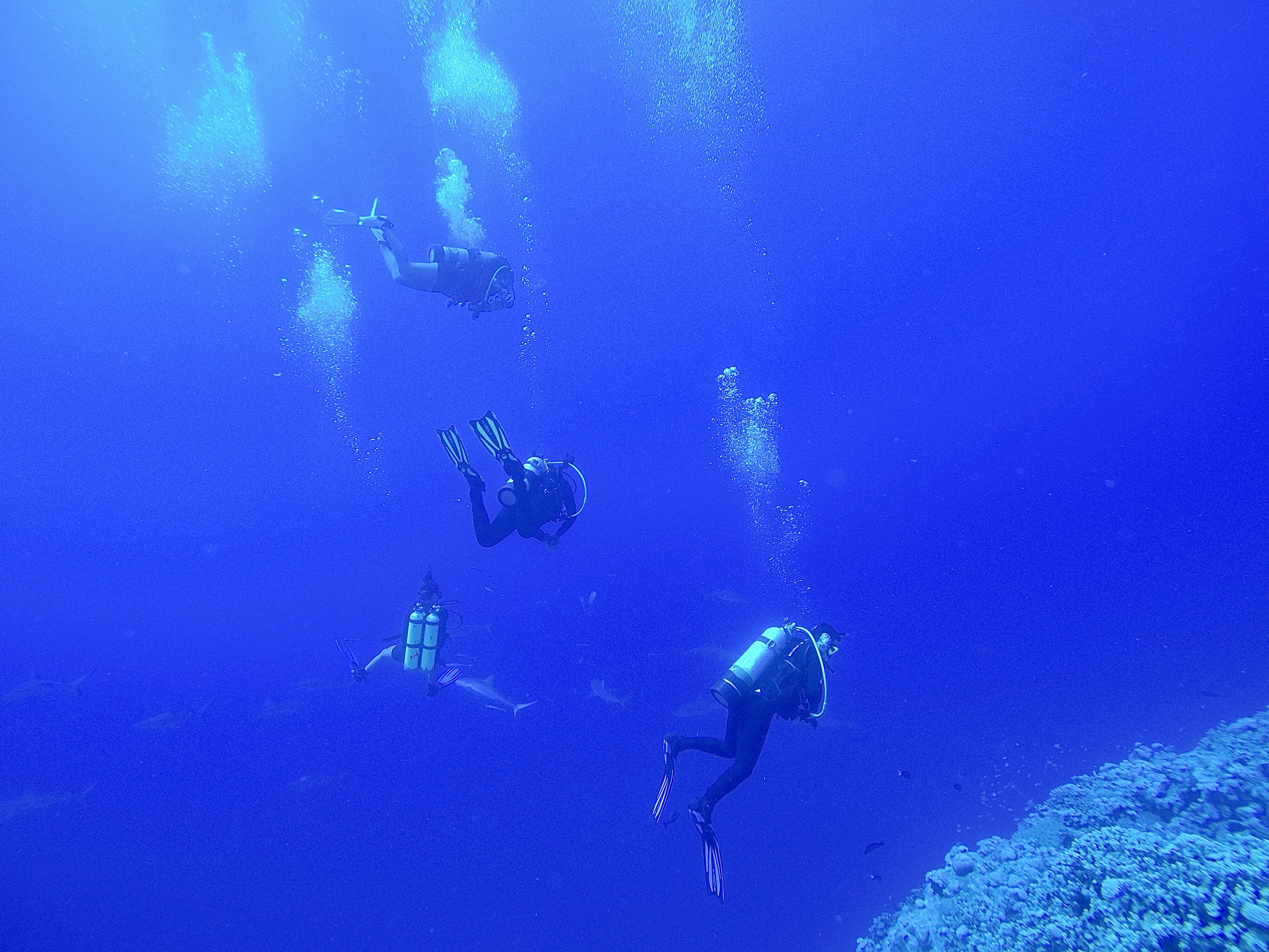 DCIM100GOPROGOPR0554.