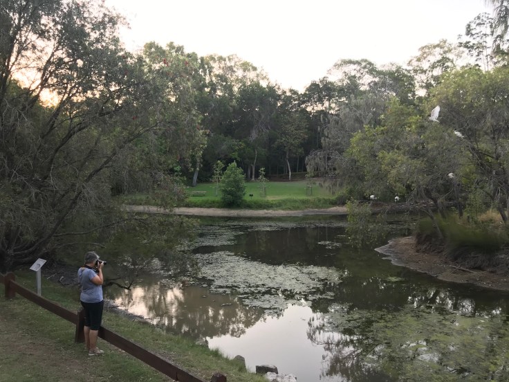 28A76CCA-BC76-4DEF-ABC2-B02D1F7A5458