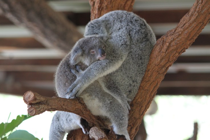 3087365D-B388-44A5-90C1-D6D73D695D4F