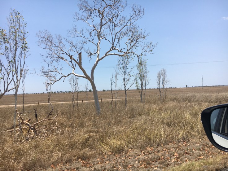 34AB8C95-D9A7-4C3C-A103-49D8DE700A39