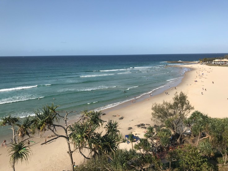 478CF506-AB6F-40AB-A81C-713E6CE7AAE6