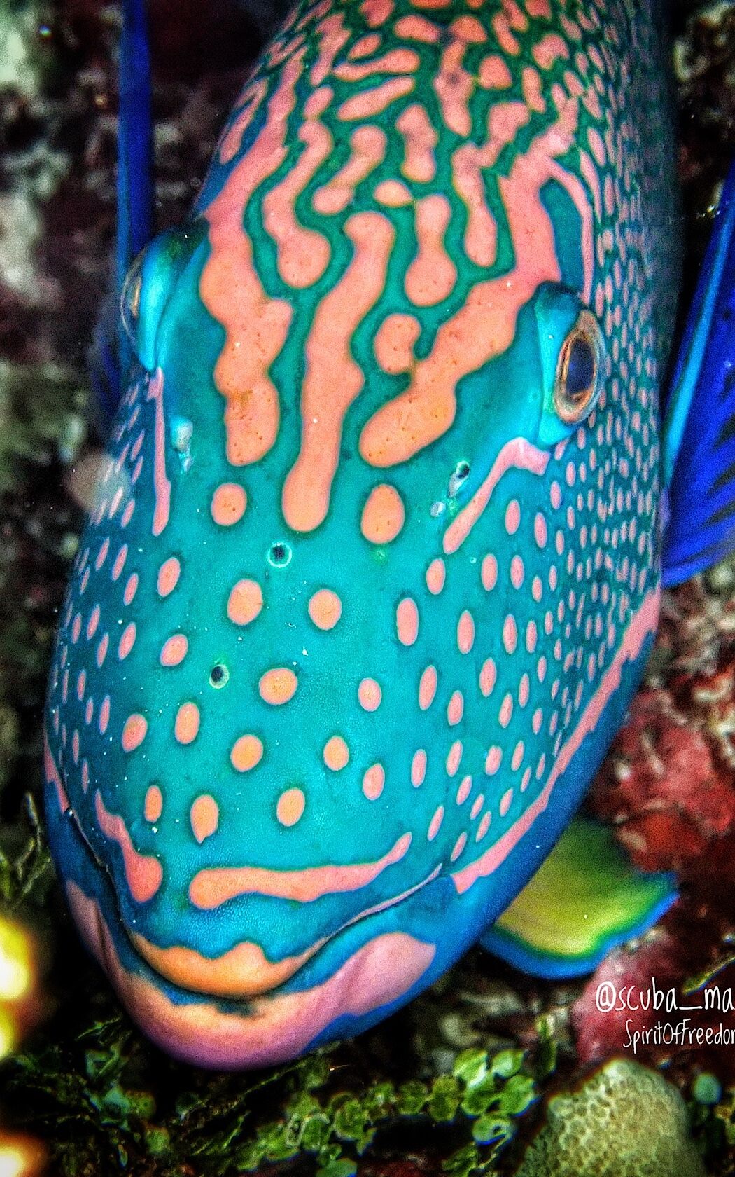 4F34B350-3FE9-452F-A9D4-2F80C7E6449A