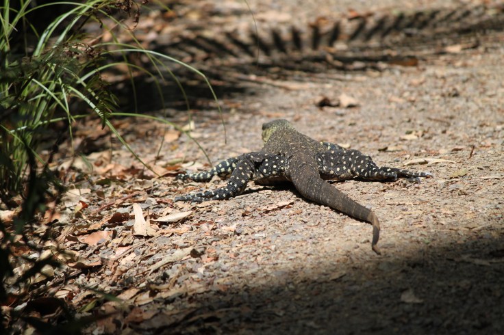 52F1EDD4-20AE-4E32-B56D-1B4CAE5DF844