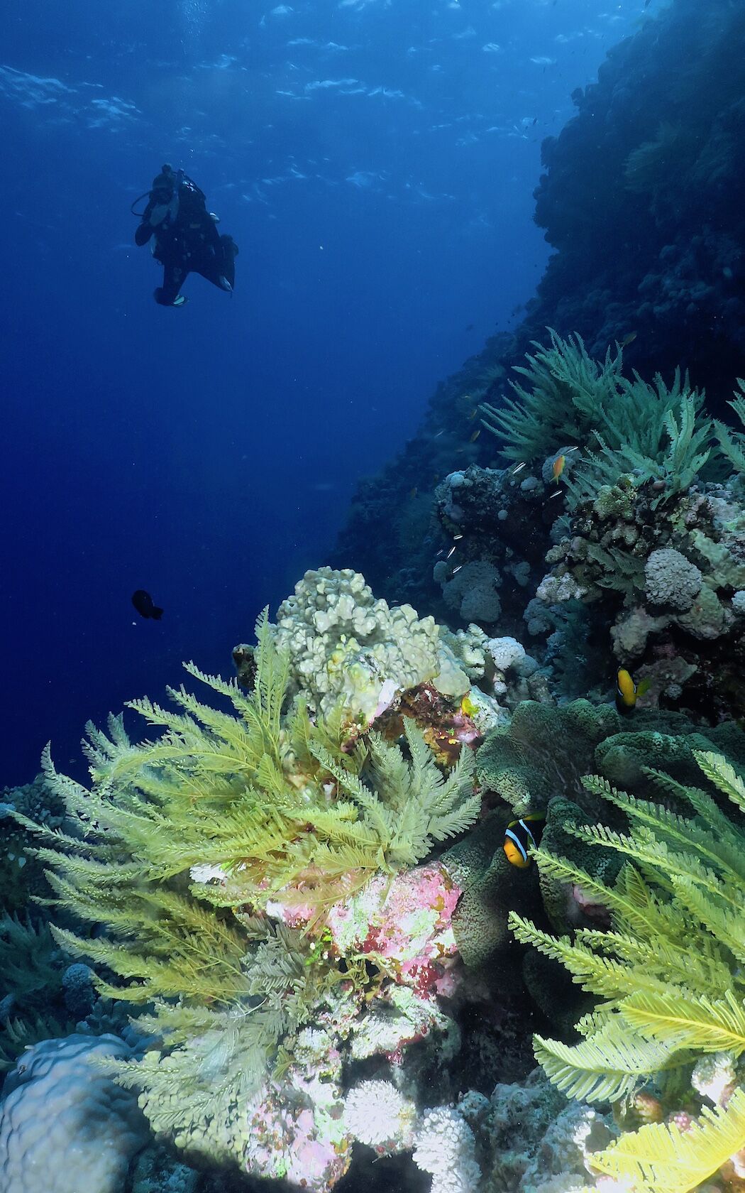 64E251F2-B5B1-4FC9-A5EB-6CE1CC412948