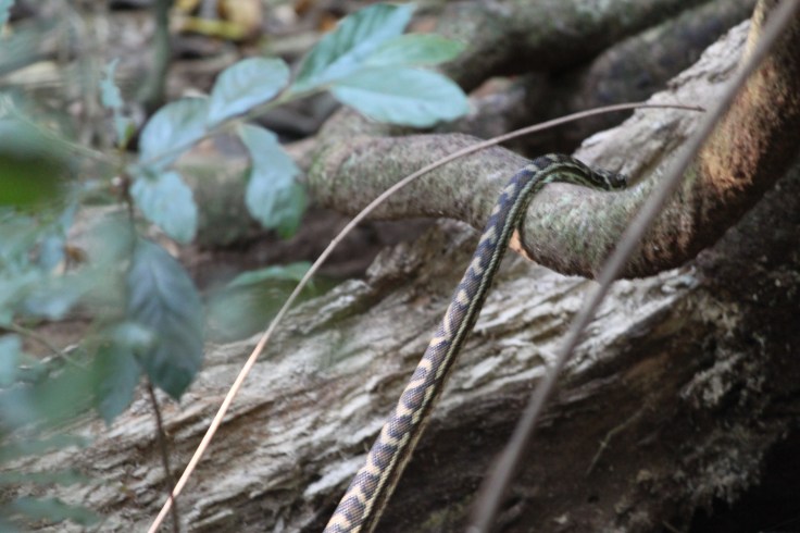 6639A5AA-D6A8-4FEB-BE9B-47B4275B95CE