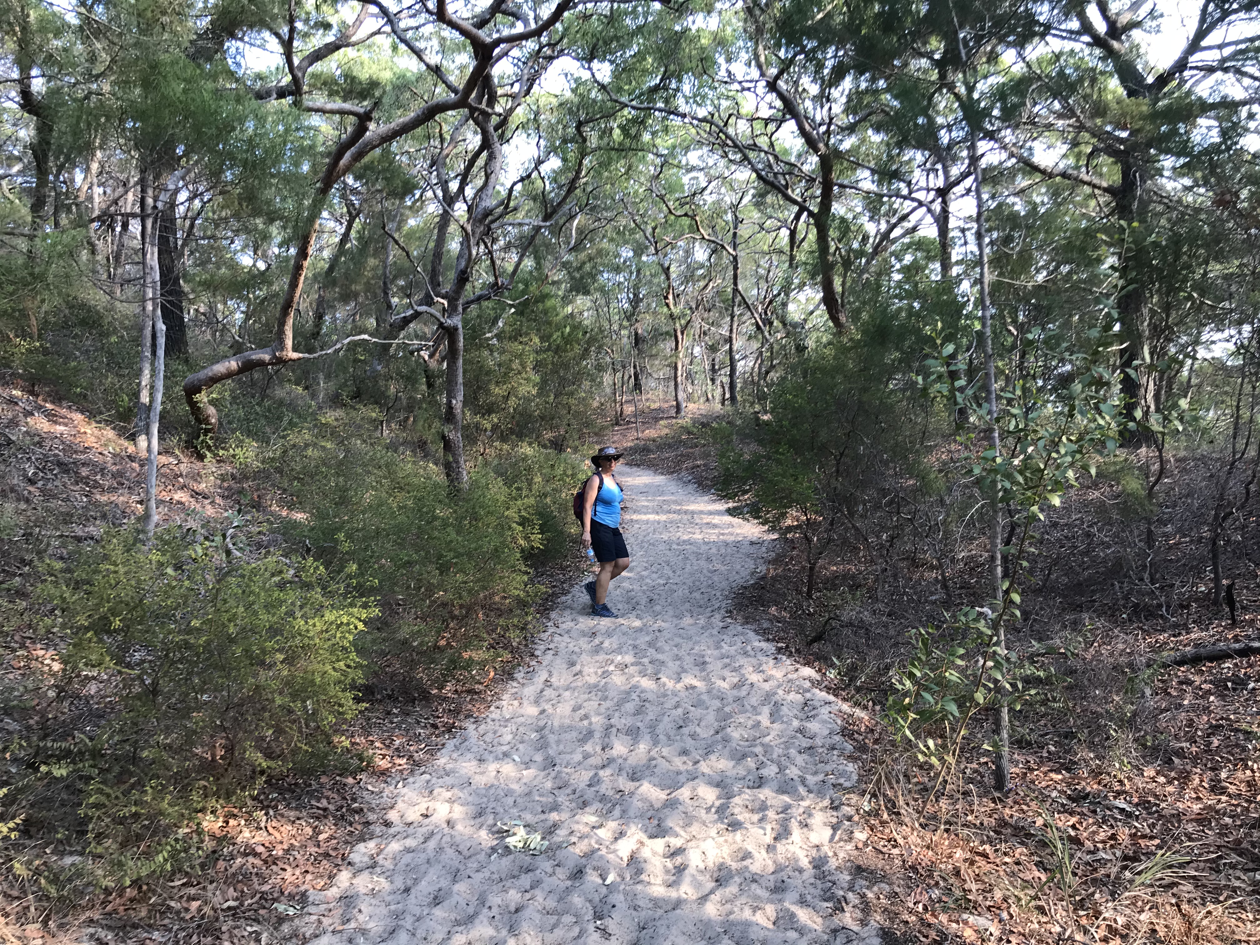 8D62F523-1706-4E73-9EF5-6CE9E30BC0CD