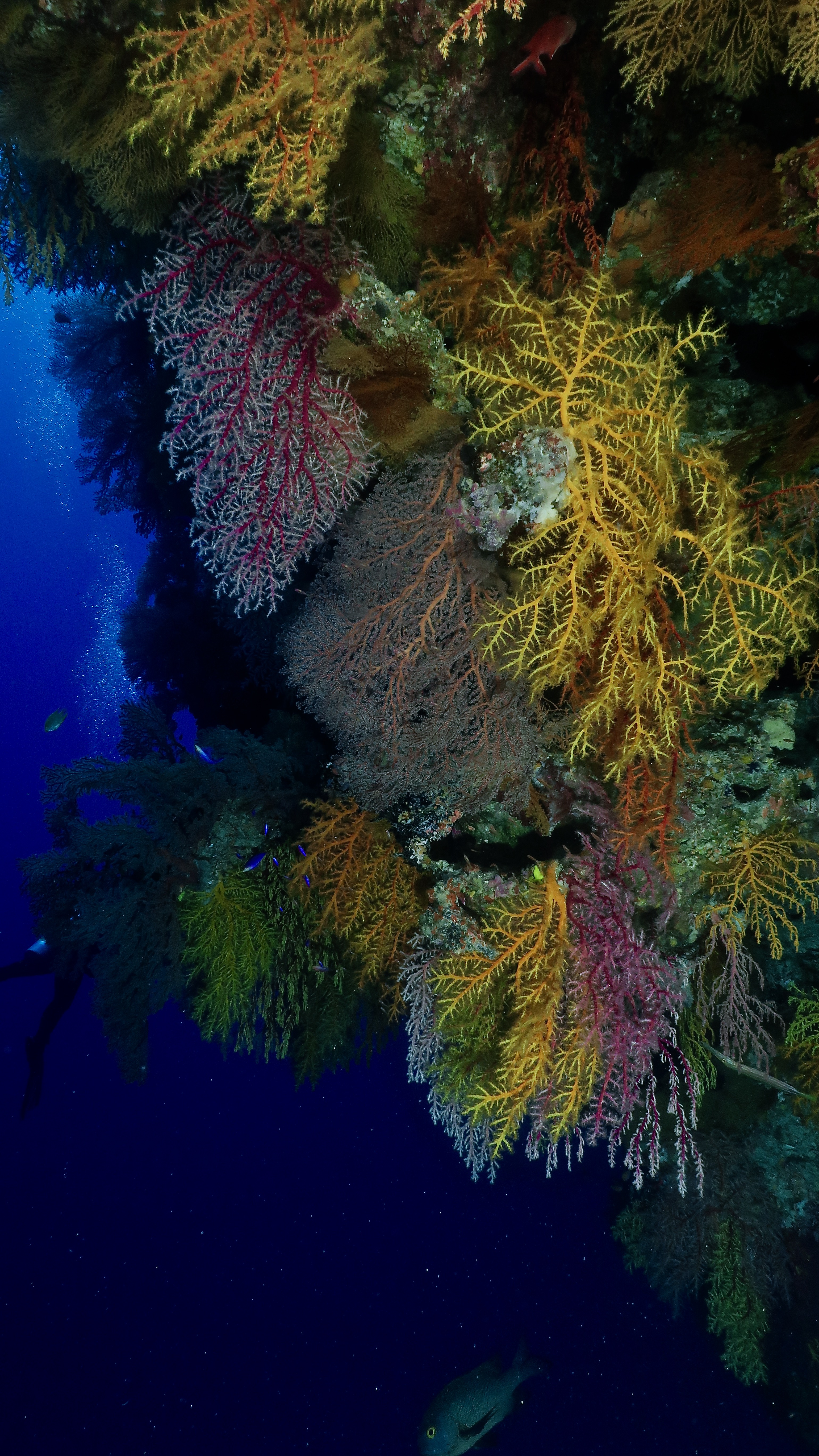 C57CB1FD-42EE-4613-A2F3-8B8126992388