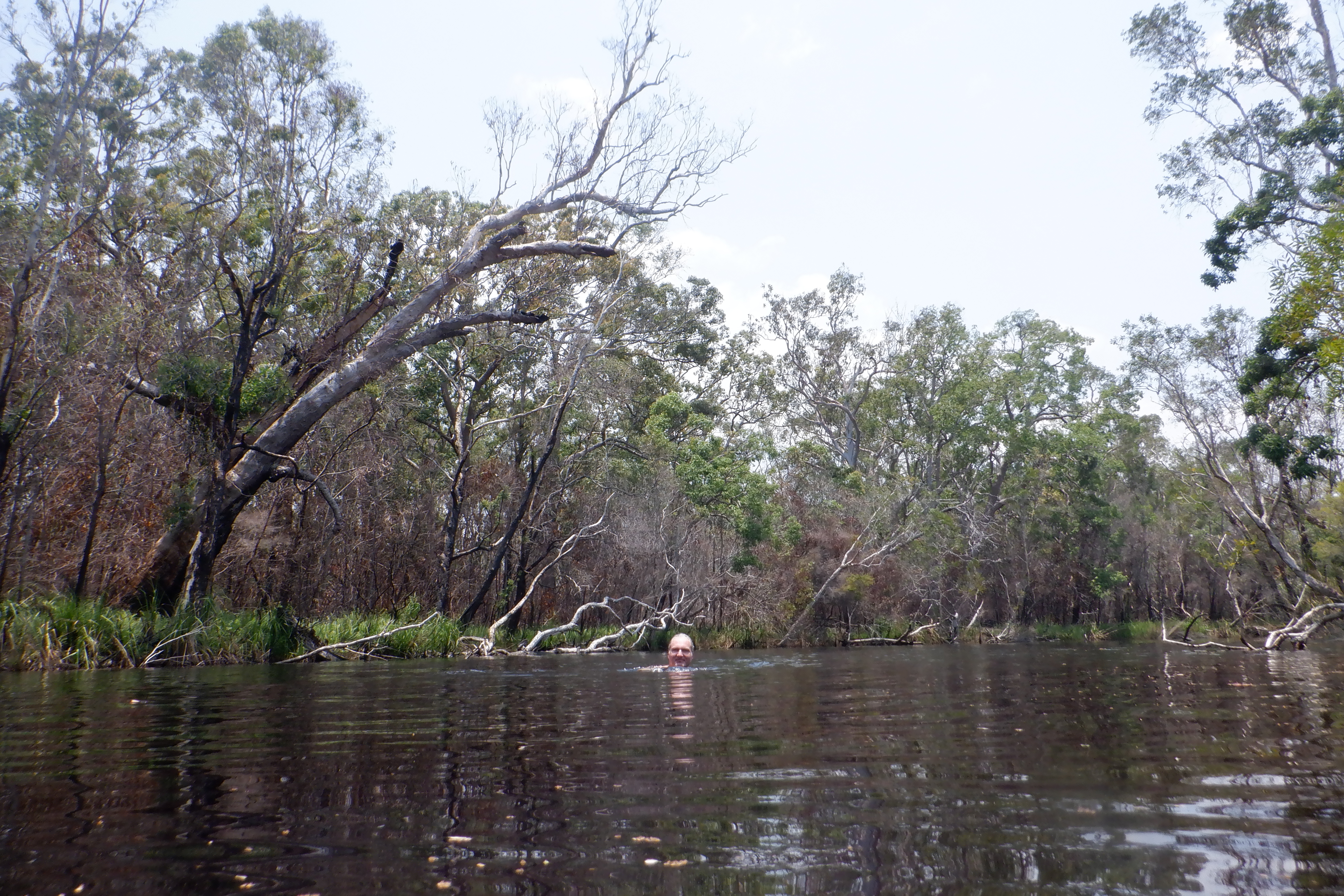 E8047077-5B43-4EF9-ACA0-70B81D2C0941