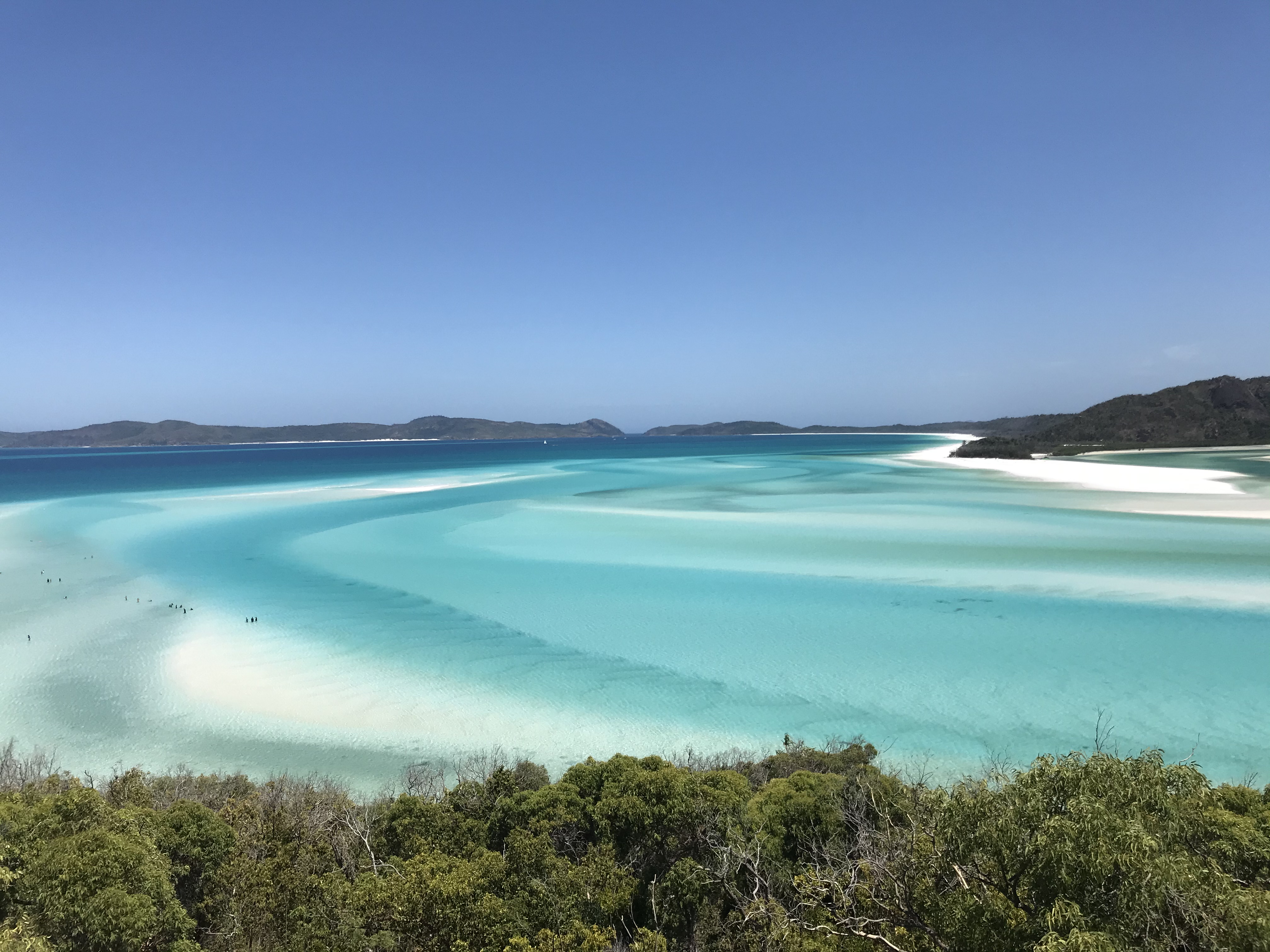 E8169093-730E-45AF-A7CF-39130DC72ECB