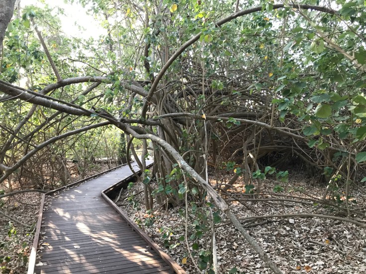 F3006C24-F41A-4DA1-BCF6-072D206D8F2A