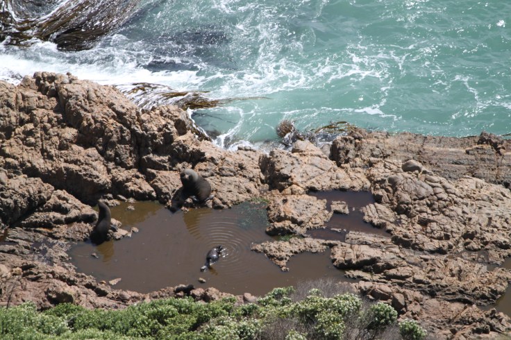 0A74767B-64E9-4FAF-874B-53D52DC577CA