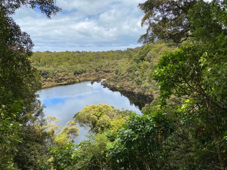 0D524951-1B0A-4593-AE63-DAECDDC8E7F2