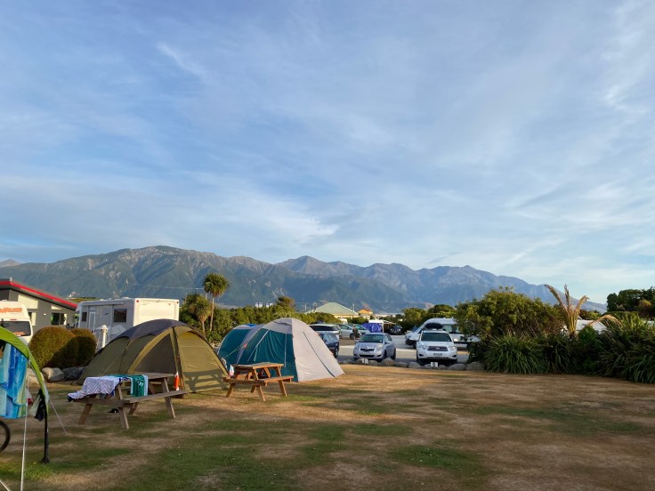 0D6C37EA-81B1-4595-8287-A5375BAFD16A