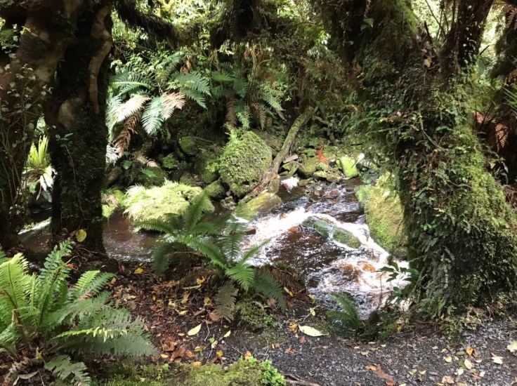 0EB15878-E897-4C69-83D3-E3B891BA0EE7