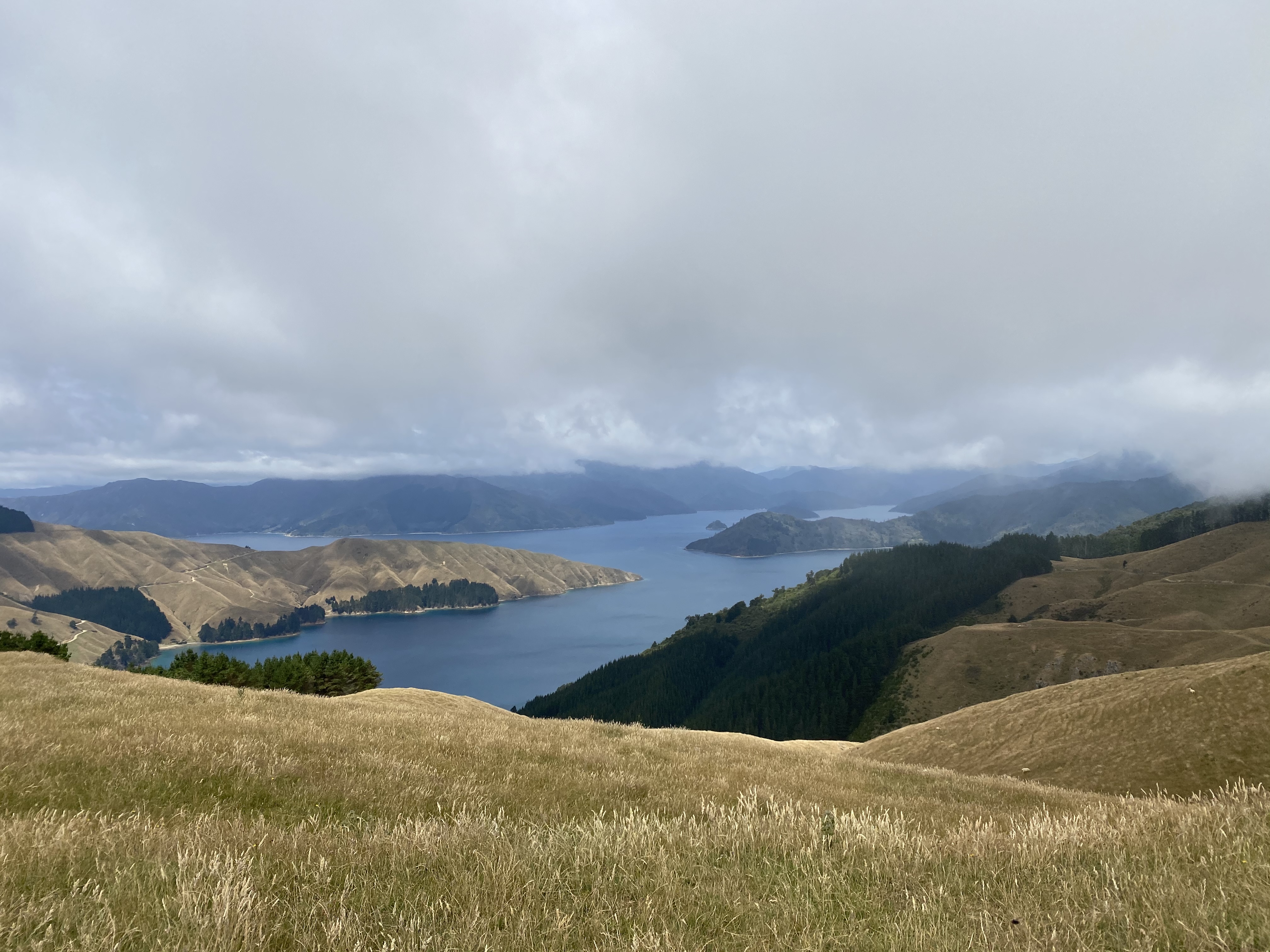 188D268E-2FAB-4DD5-B6DE-2CE7319B7EAB