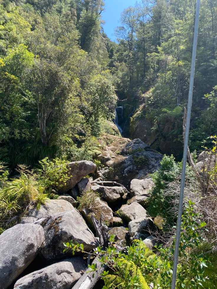 2159C31A-D968-4BDC-98C8-90C7A5A60175