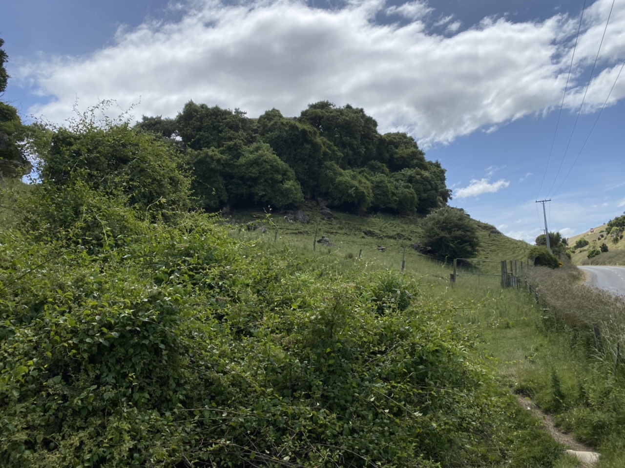 23056012-8CB5-4D98-B6EA-0225BC9EE492