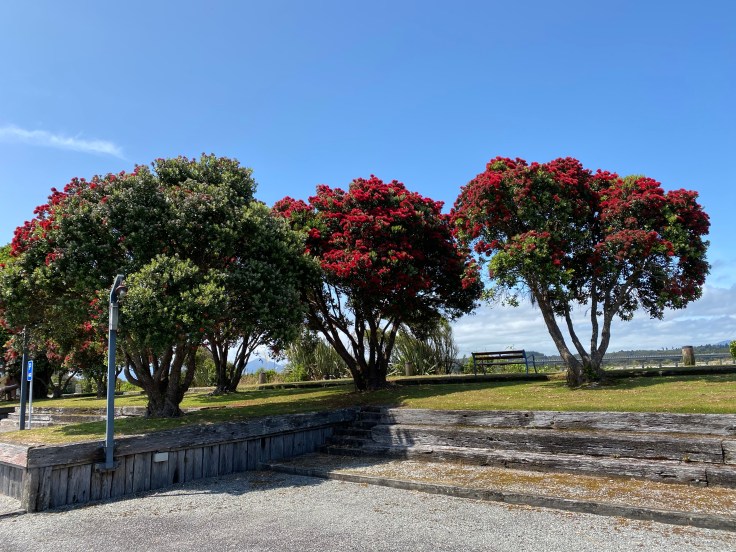 2317BA7A-6536-42B0-861F-6A2BD07EF28E