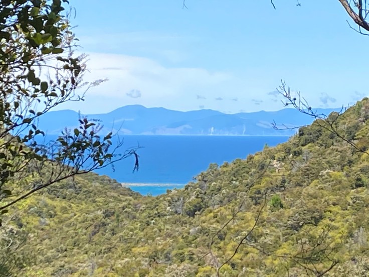 24DE2429-160A-40BF-882A-4F8CAFC1262F