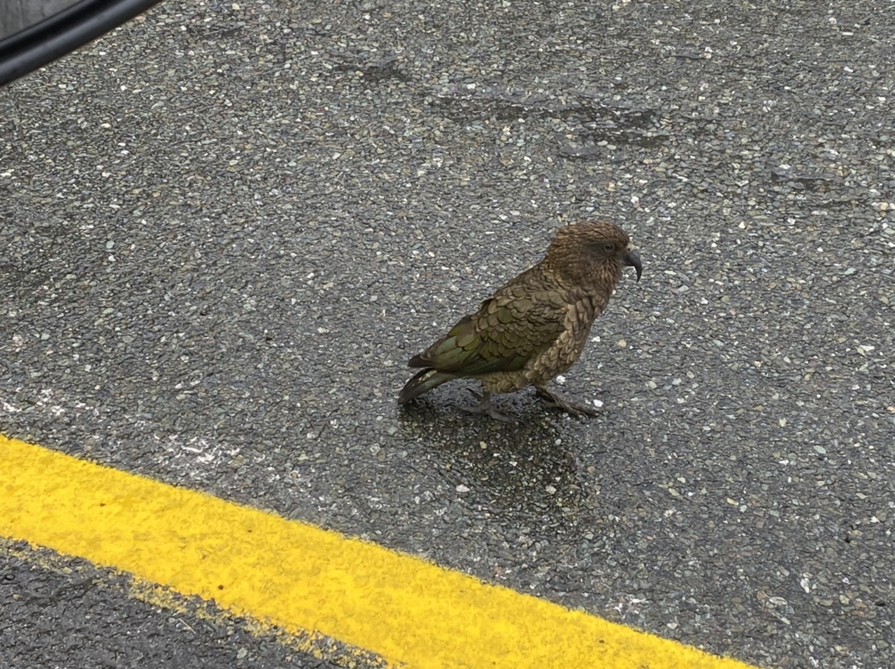 261CEC27-CD8D-4215-8654-4075D4295AFD