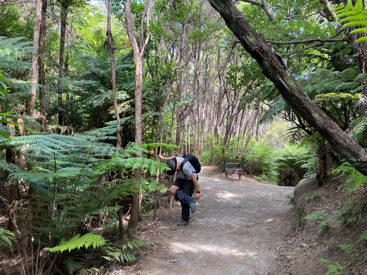 2C74EAAD-DEDF-4F52-91C6-A3AF316C2965