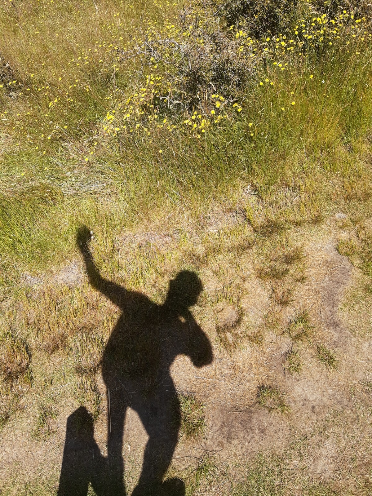 3334ED1A-5C88-46FF-B76B-F6203372F28C