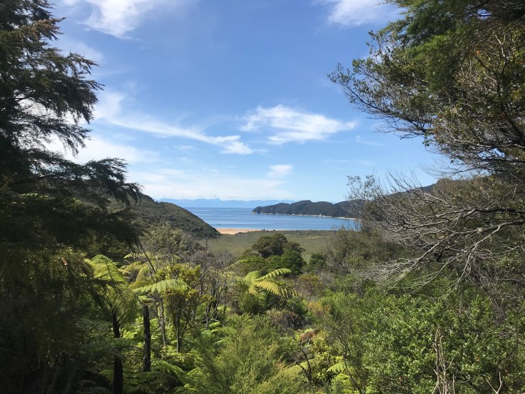 44206AFF-4F02-492B-9E04-64D276B5ED7C