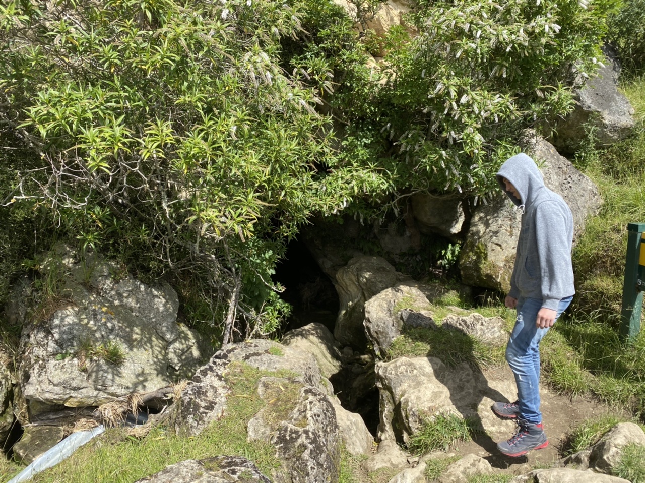 45FD39EE-E4FD-4E2F-8531-E3BCC5432AE2