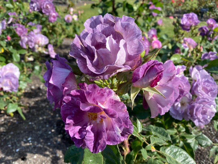 4D79E423-B42B-4CCD-AC1F-CEEE8B6F9C26